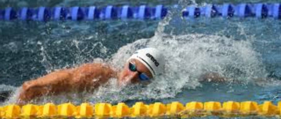 Championnats d'Europe — Natation course